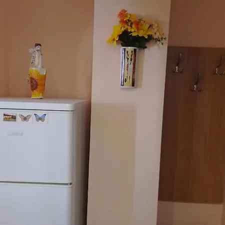 студио Daire