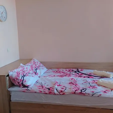 студио Daire *